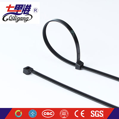 Natural two lock cable tie